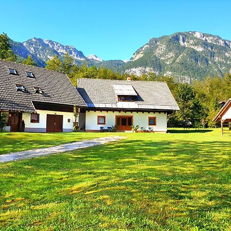 Apartmaji Zupanc Ivanka Bohinj Extérieur photo